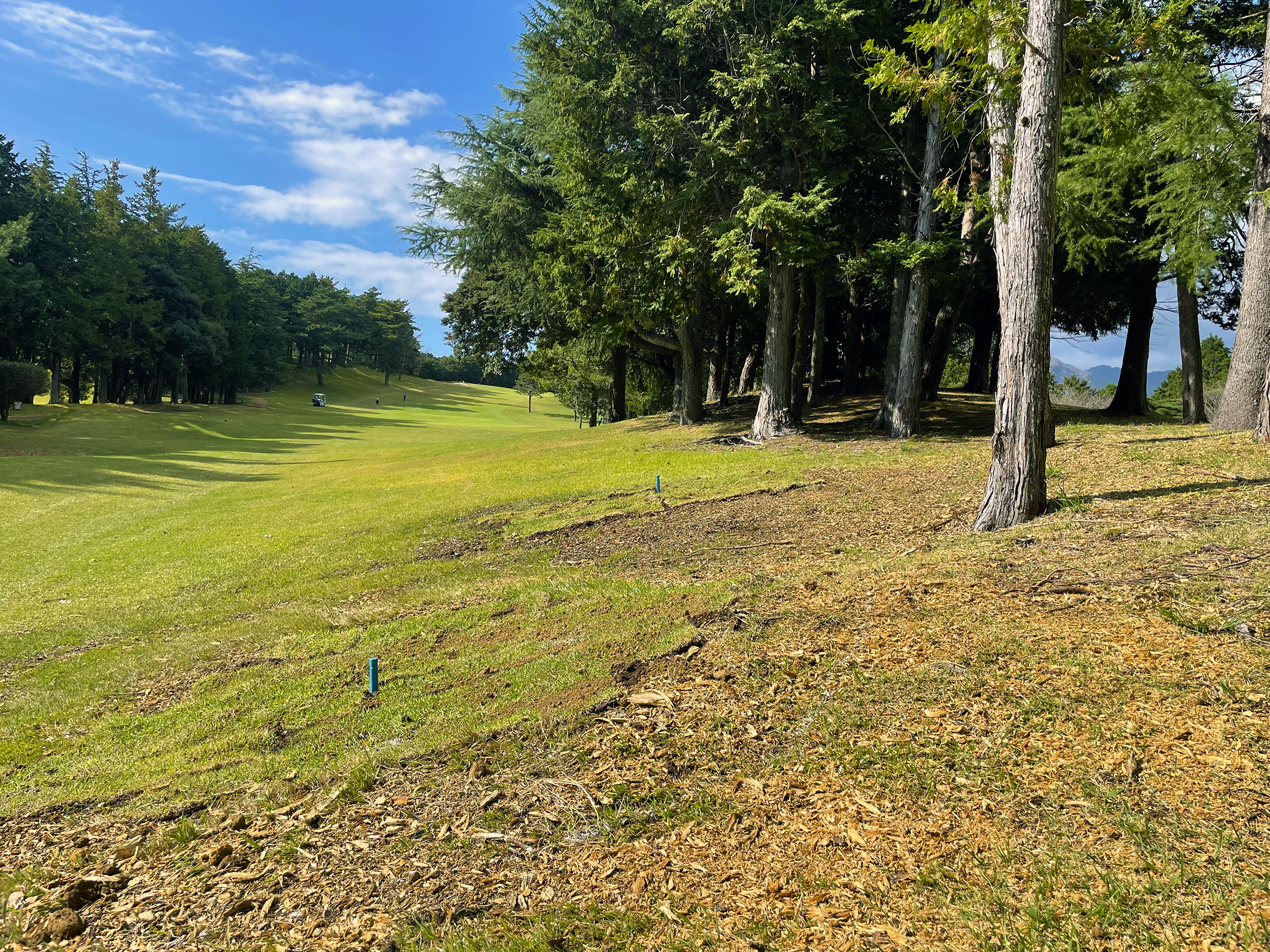 スライドショー