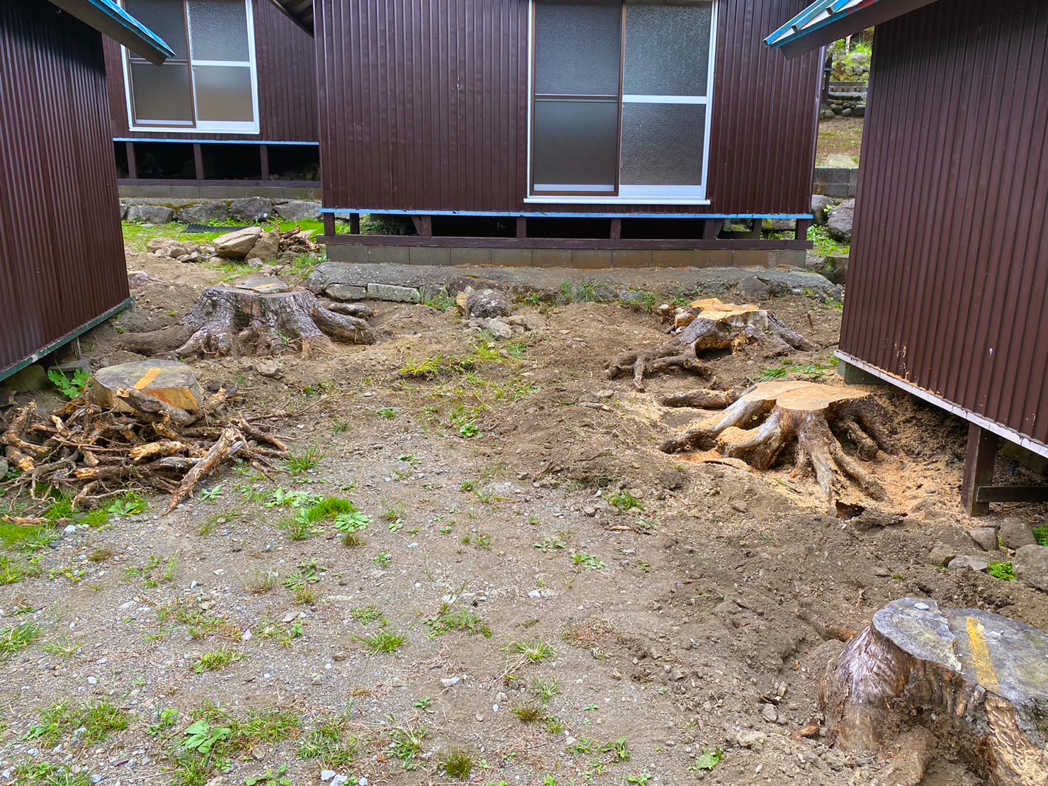 スライドショー